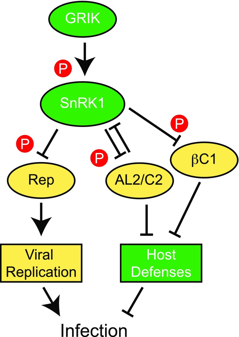 Figure 9.