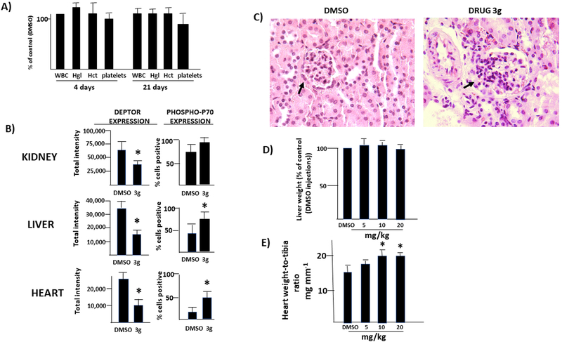 Figure 5: