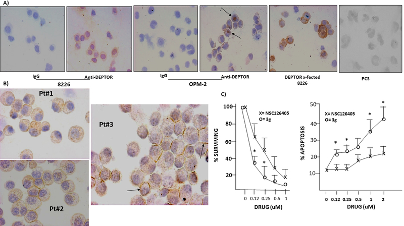 Figure 3: