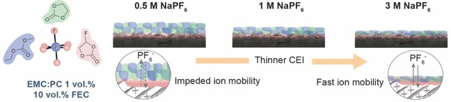 graphic file with name CSSC-16-0-g006.jpg