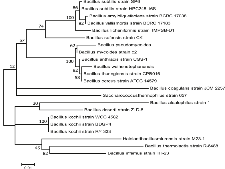 Fig. 2