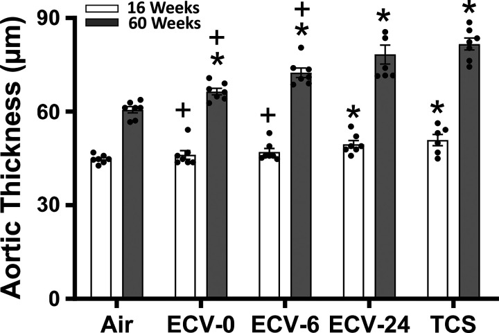 Figure 10.