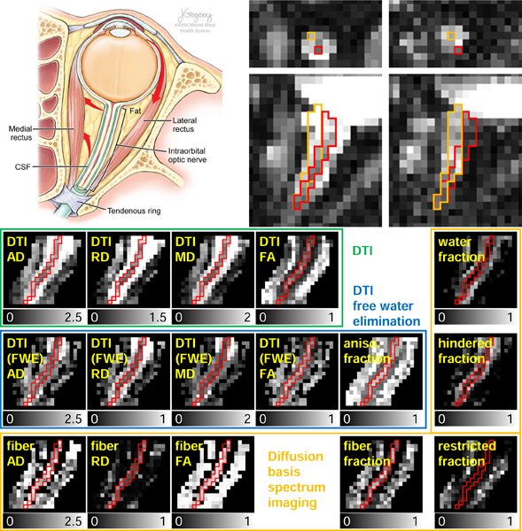 graphic file with name nihms-1750721-f0001.jpg