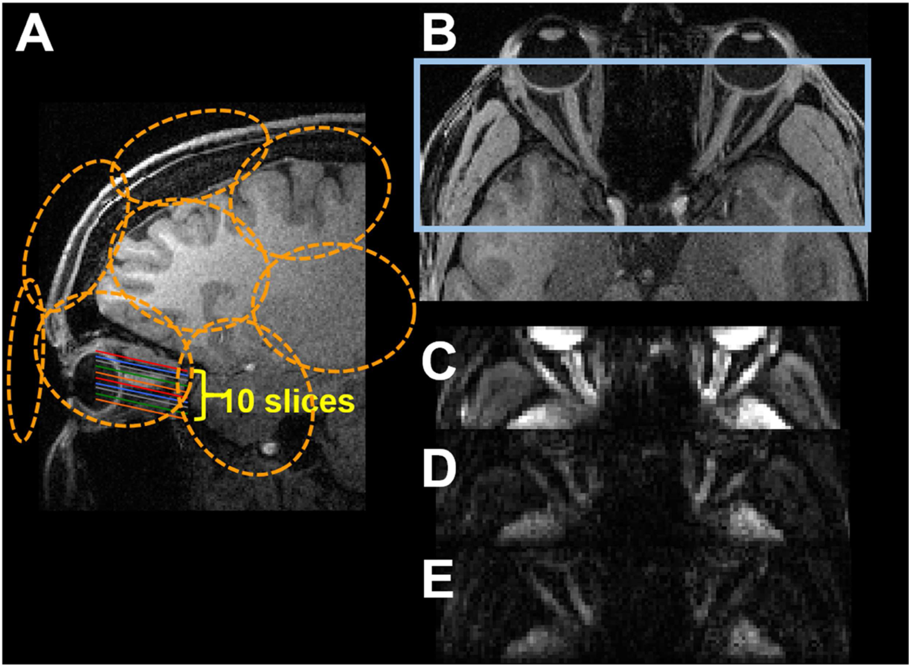 Figure 2.