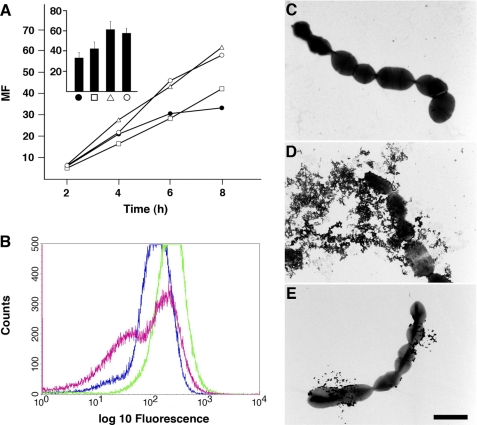 FIGURE 5.