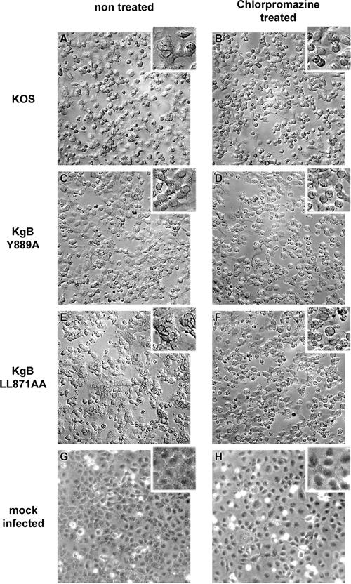 FIG. 10.