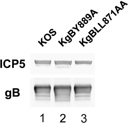 FIG. 8.