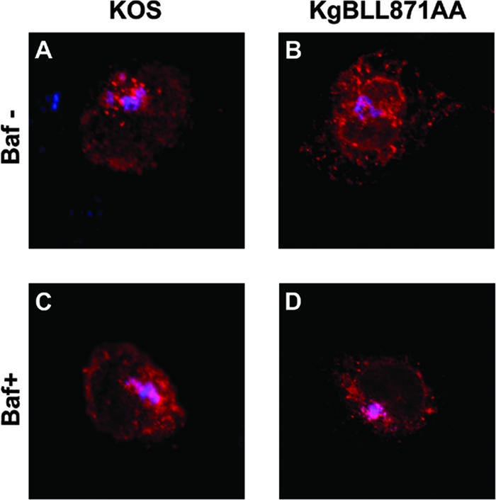 FIG. 11.