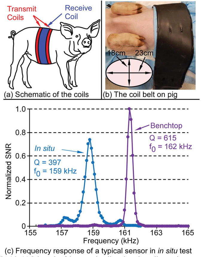 Fig. 16.