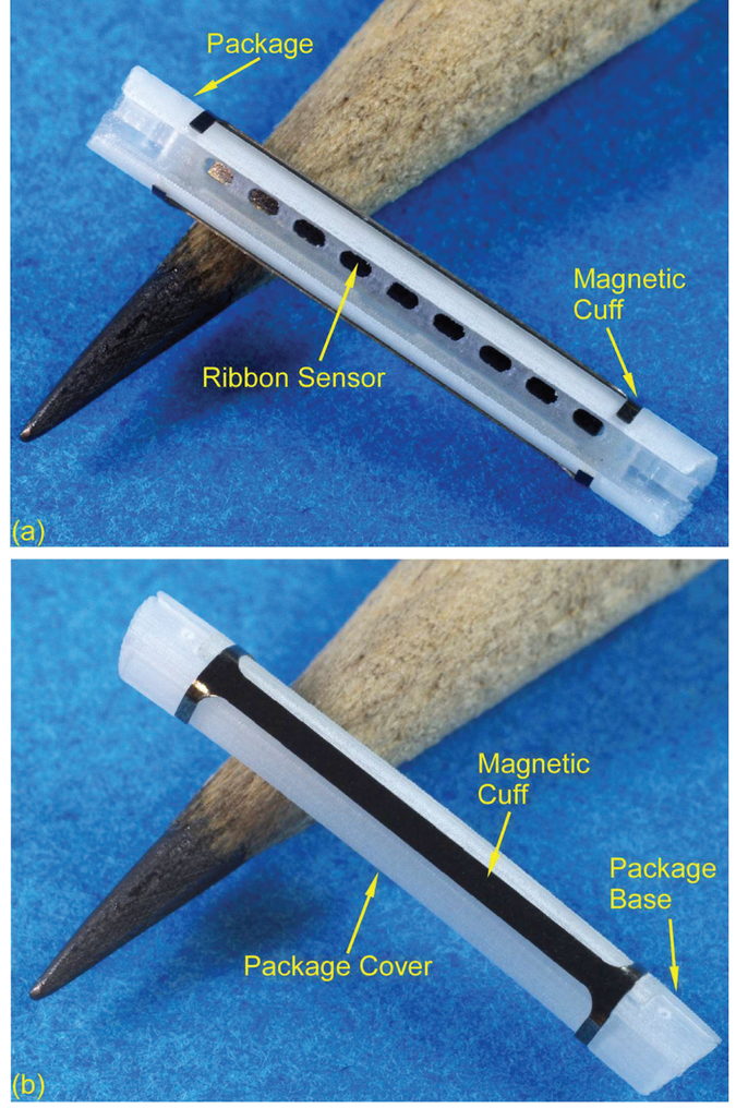 Fig. 10.