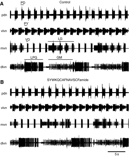 Fig. 6.