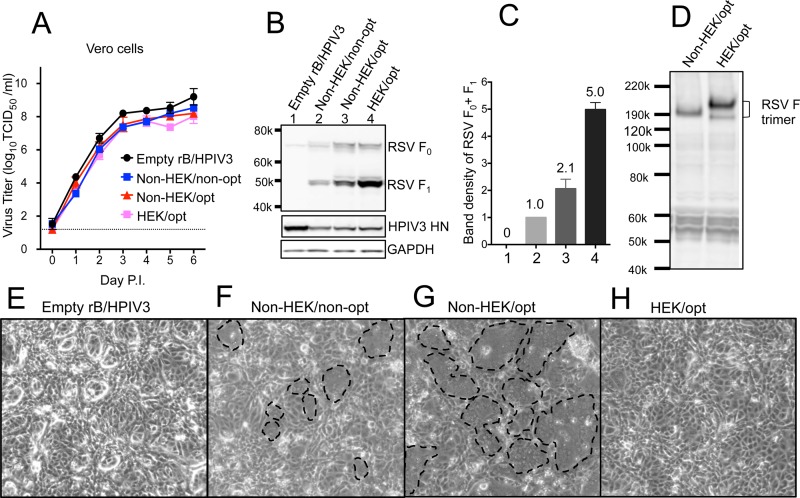 FIG 2