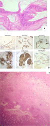 Fig. 15