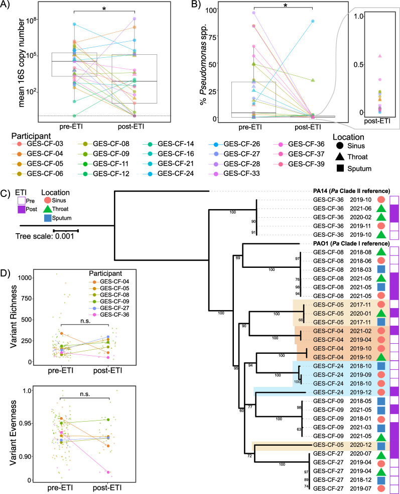 Images A through D depict P. aeruginosa persistence in the respiratory tracts of people with CF after starting ETI. Highlighted on the tree are potential instances of new P. aeruginosa infections post-ETI.