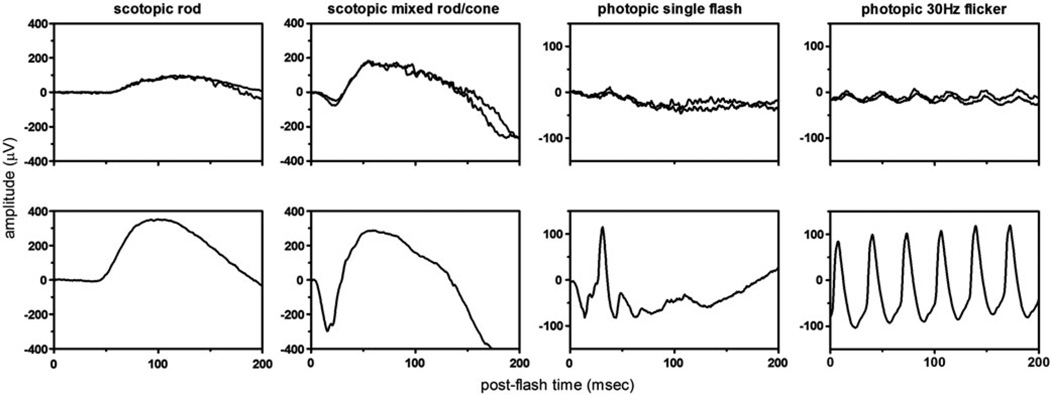 FIGURE 4