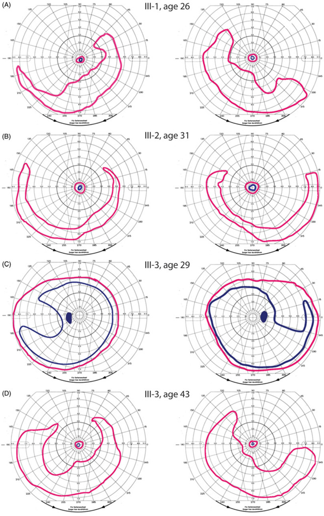 FIGURE 3