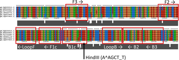 Fig 2