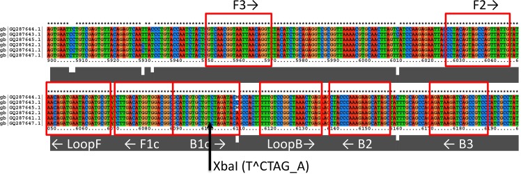 Fig 1