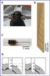 Figure 20