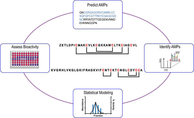 graphic file with name nihms-1755274-f0009.jpg