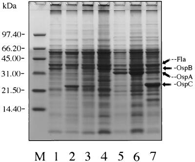 FIG. 5