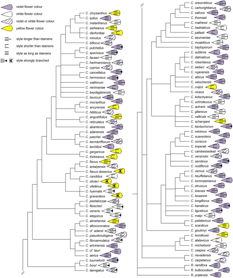 Fig 6