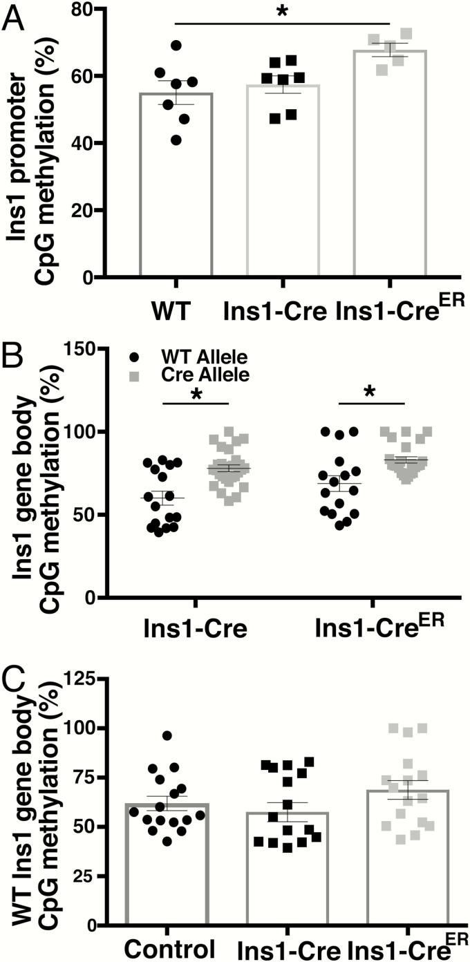 Figure 5.