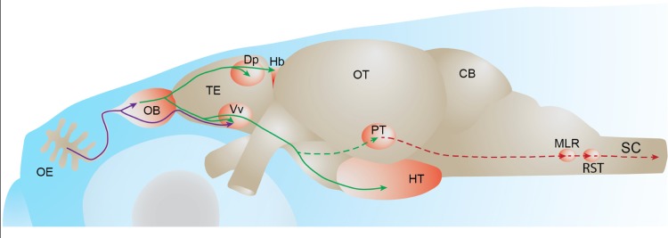 FIGURE 2