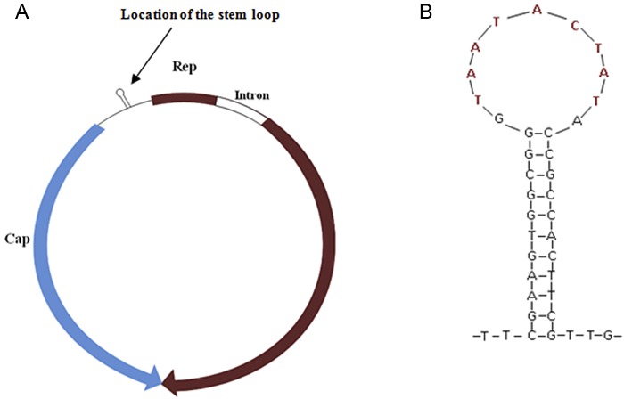 FIG 2 