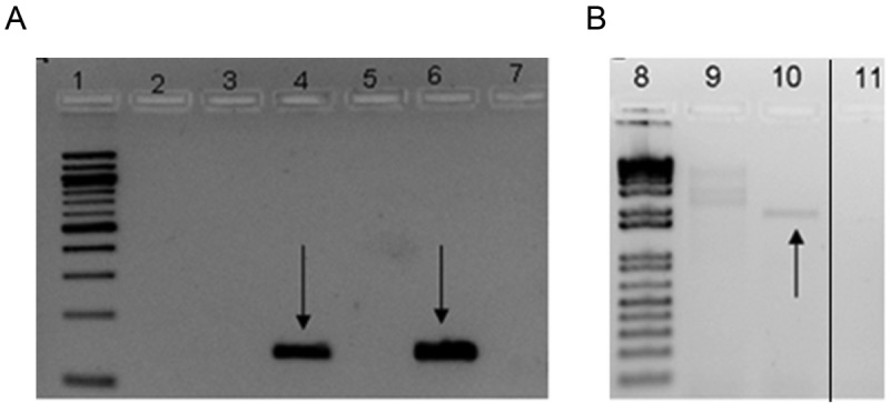 FIG 1 