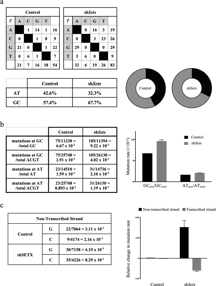 Figure 5