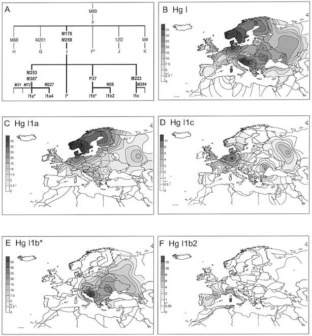 Figure  1