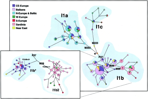 Figure  2