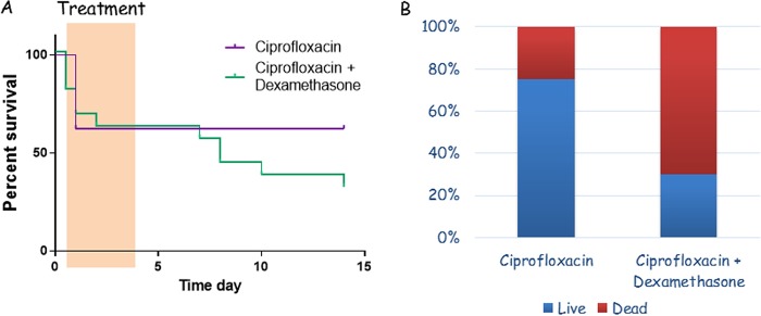 FIG 4