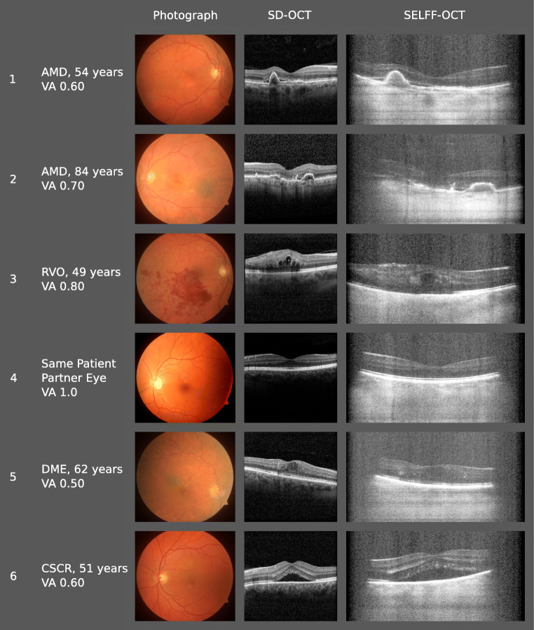 Fig. 3