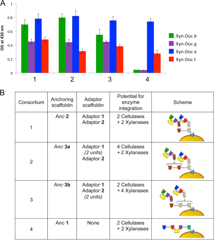 FIG 2