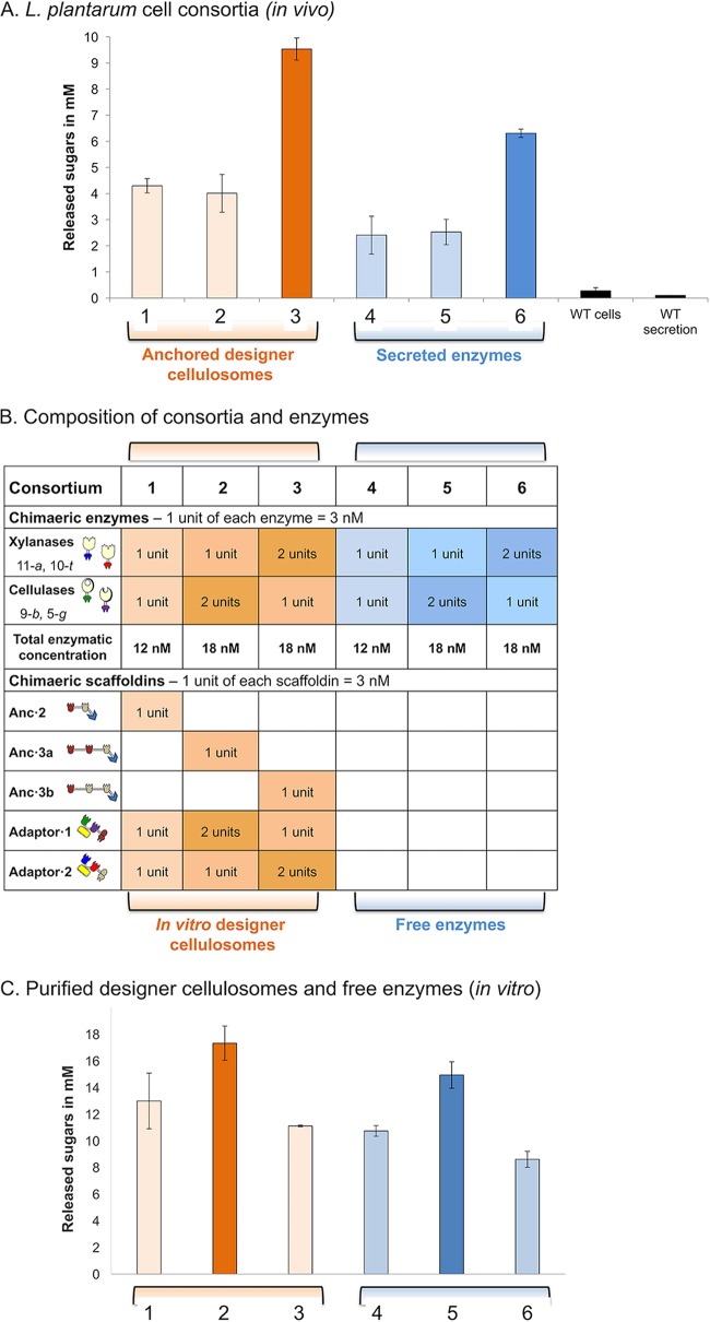 FIG 3