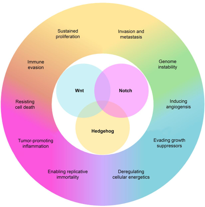 Figure 1: