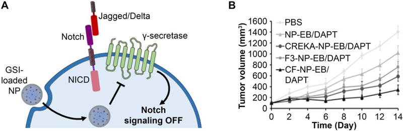 Figure 6: