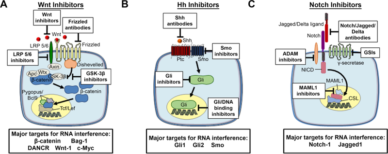 Figure 3: