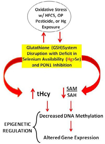 Figure 2: