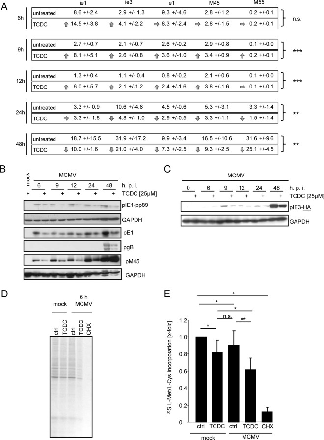 FIG 6