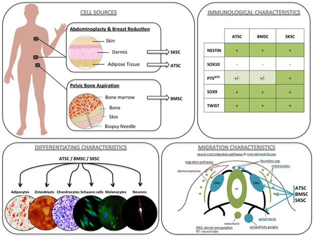 Fig 13