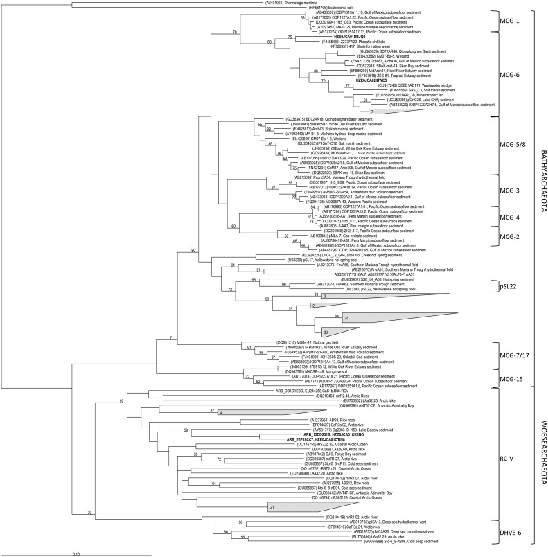 FIGURE 3