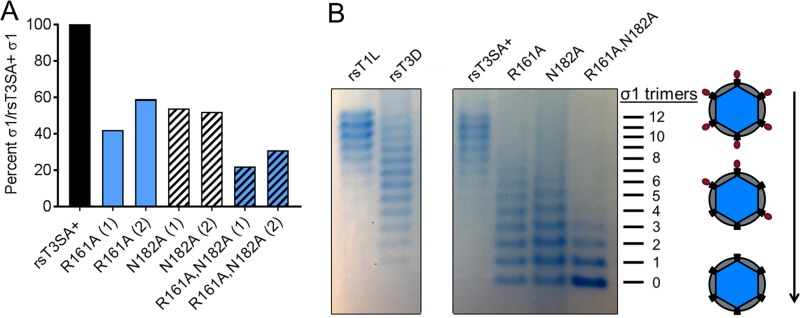 FIG 7