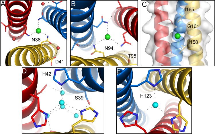 FIG 3