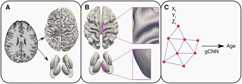 Figure 1: