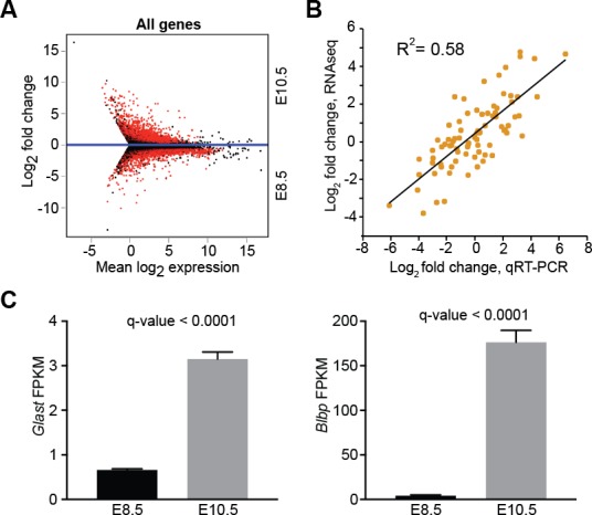 Figure 1—figure supplement 1.