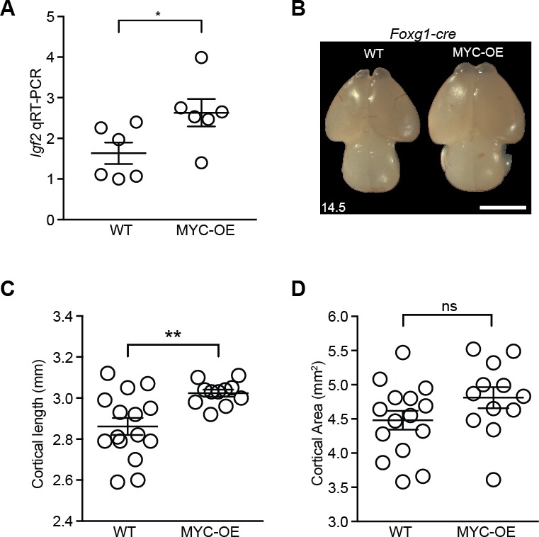 Figure 6—figure supplement 1.