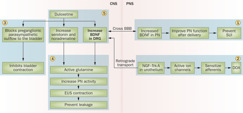 Figure 3 |